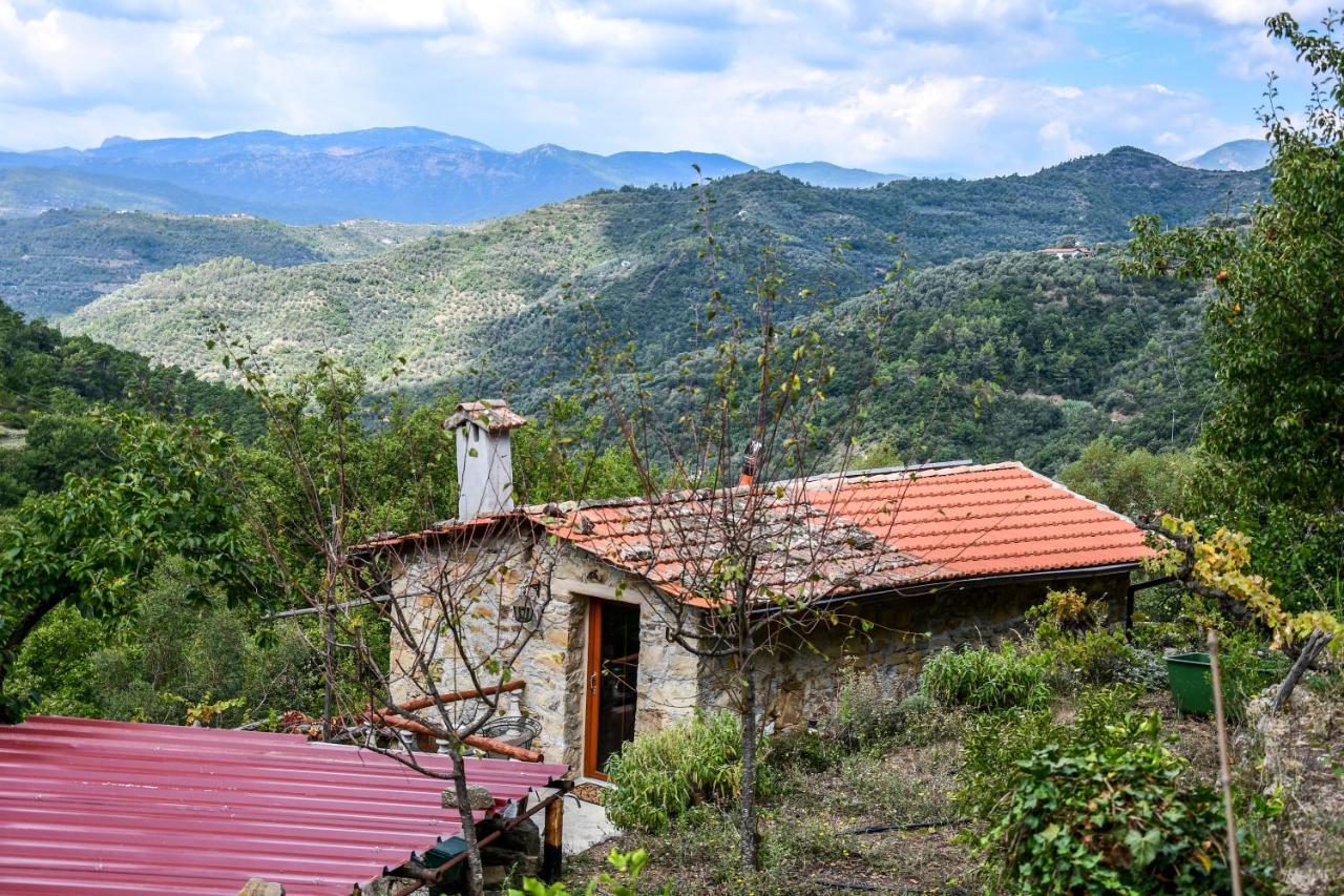 فيلا Casa Lucertola أبريكال المظهر الخارجي الصورة