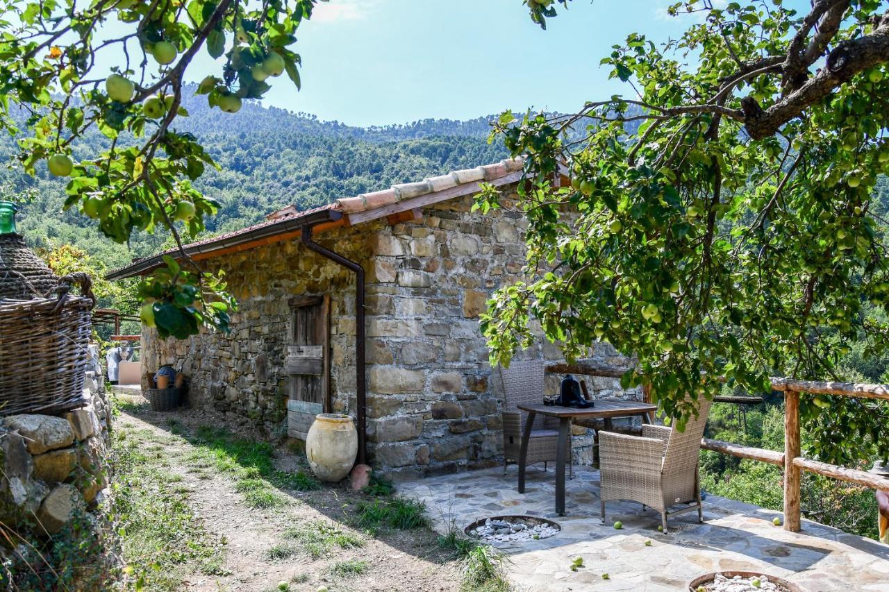 فيلا Casa Lucertola أبريكال المظهر الخارجي الصورة